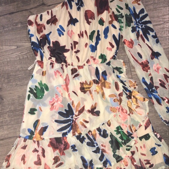 TulaRosa Ina Dress One Shoulder Burn Out - Picture 4 of 8